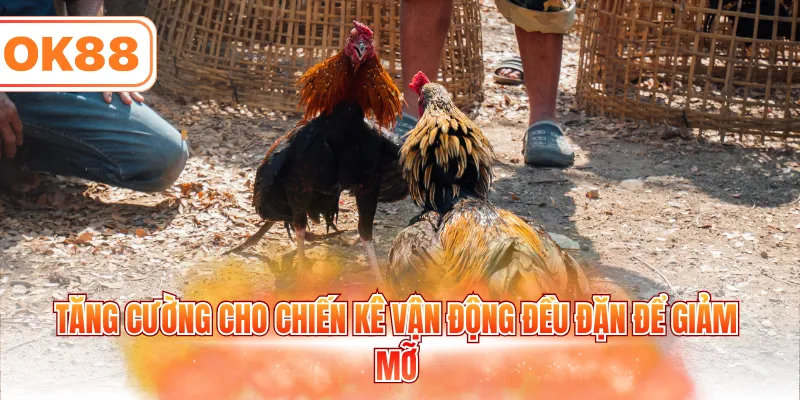 Tăng cường cho chiến kê vận động đều đặn để giảm mỡ